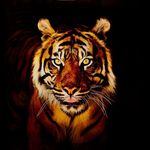 Daniel Rozek - @rozdan99 - Instagram