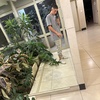 Danielrozner - @danielrozner - TikTok