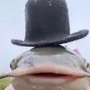 Daniel Rožnovský - @danielroznovsky768 - TikTok