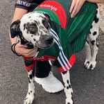 Daniel Ruane - @daniel_ruanee - Instagram