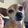 daniel_ruanee - @daniel_ruanee - TikTok