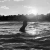 Daniel Leal Rubiano - @danielrubiano._ - TikTok