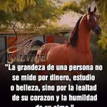 Daniel Ruesga - @daniel.ruesga.773 - Instagram