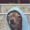 Daniel Ruetz - @daniel.ruetz - TikTok