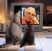 Daniel Rufener - Facebook