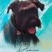 Daniel Ruffner - Facebook