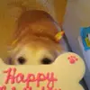 danielleruffner10 - @danielleruffner10 - TikTok