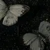 Yuri daniela puente - @daniela.ruffner - TikTok
