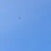 danielruhl39 - @wiepapa - TikTok
