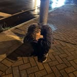 shownomercydandan - @daniel.r.ule - Instagram