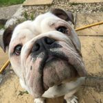 Daniel Rumbold - @danielrumbold - Instagram