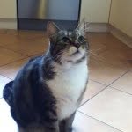 Daniel Rundle - @dan_an_mittens - Instagram