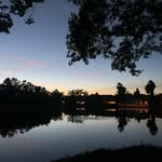 Daniel Rundle - @bluefrogjam - Instagram