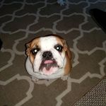 daniel runyan - @runyandaniel - Instagram