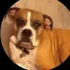Daniel Runyon - @daniel_runyon - TikTok