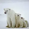 danielrunyon842 - @aniel4527 - TikTok