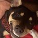 Daniel Rupp - Facebook