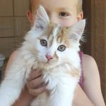 Daniel Rusek - @daniel.rusek.963 - Instagram