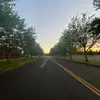 Daniel.rushing - @daniel.rushing - TikTok
