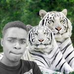Daniel rymer - @rymer39 - Instagram