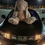 Daniel Ryu Cavallaro - @daniel.sir.ryu - Instagram