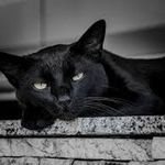 Daniel sâaM - @daniel820s - Instagram