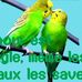 Daniel Sabio - Facebook