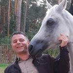 Daniel Sadowski - @no1sadowskidaniel - Instagram