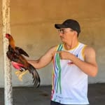 Daniel Salgueiro - @danieldesalgueiro2005 - Instagram