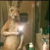 daniel salgueiro - @daniel_nms355 - TikTok