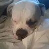 danielsantoro690 - @danielsantoro690 - TikTok