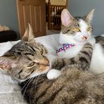 Daniel Santry - @santry.daniel - Instagram