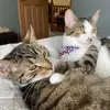 dannyboy84 - @danielsantry - TikTok