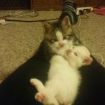 Chelsea Daniel sargeant - @chelseasargeant57 - Instagram