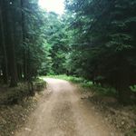 Daniel Sarnowski - @daniel90kolumbia - Instagram