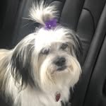 Daniel Sartor - @sartordw - Instagram