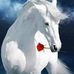 Daniel Sassano - Facebook