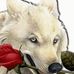 Daniele Sassano - Facebook