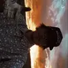 Daniel Losasso - @daniellosasso - TikTok