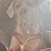 Daniel Satchell - @daniel.satchell14 - TikTok