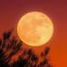 Daniel Satizabal - Facebook