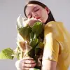 Daniel Saul - @daniel.saul26 - TikTok