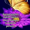 Saul Daniel - @saul.daniel.hernnd - TikTok