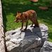 Daniel Saunier - Facebook