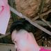 Daniel Sauro - Facebook