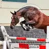 Daniel Sautter - @daniel.sautter - TikTok