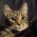 Danielius Savickas - Facebook