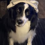 Daniel Savidge - @dsav732 - Instagram