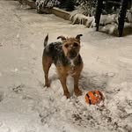 Daniel Savidge - @danielsavidge - Instagram