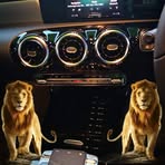 Daniel Savin - Facebook